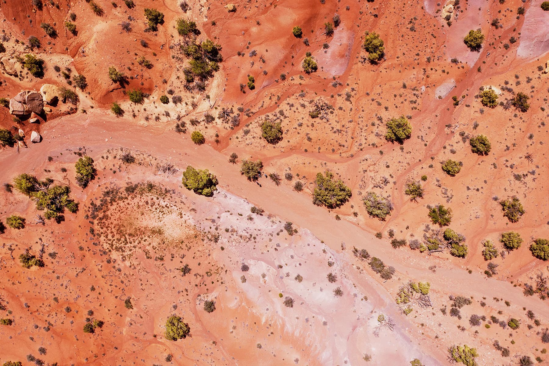 Abstract drone view of harsh red dirt landscape with sparse trees spotted throughout
